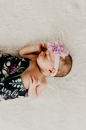 Everly-7401