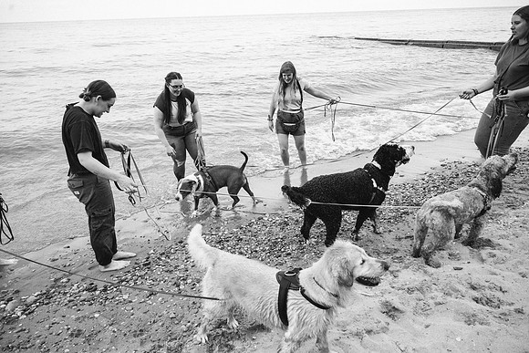 OffLeash2024-0895-2