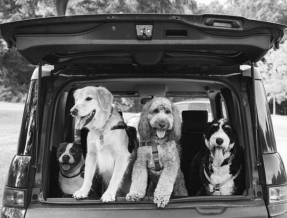 OffLeash2024-0448-2