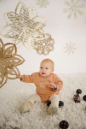 Snowflake24-82