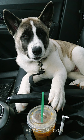 20140821_140738K-Starbucks