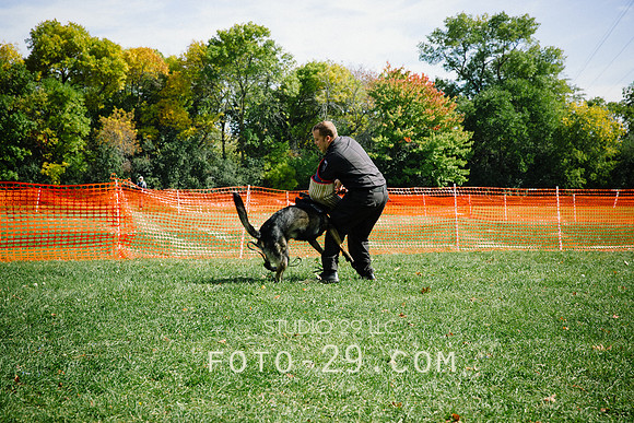 barktoberfest-9482