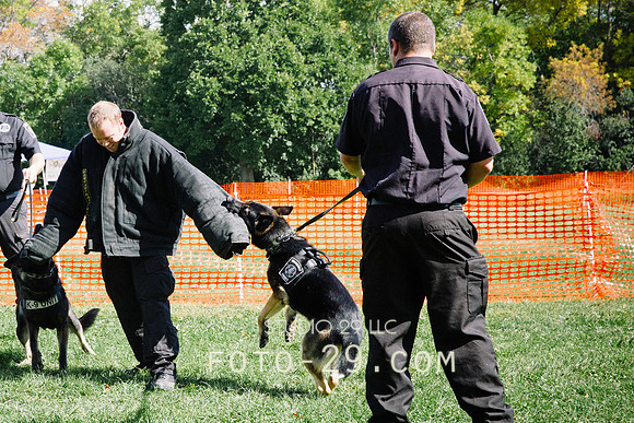 barktoberfest-9495
