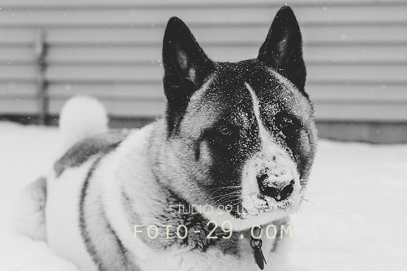 Kenzo-0478