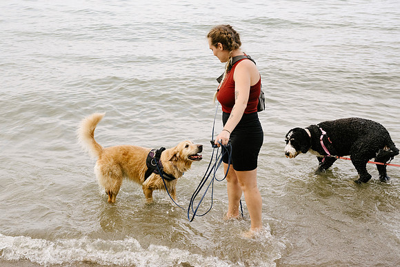 OffLeash2024-0880