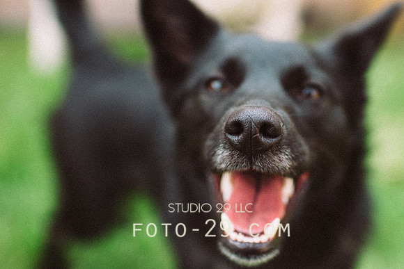 Ellie-0374