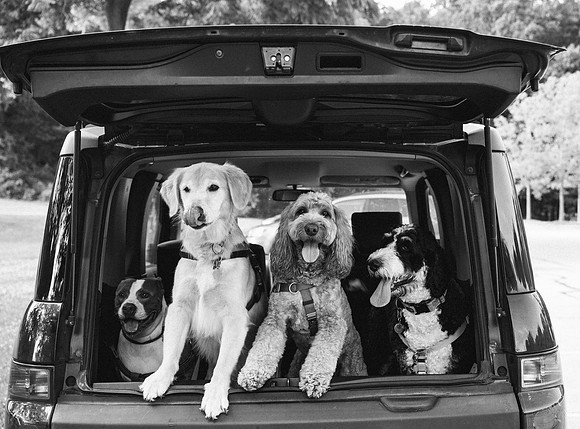 OffLeash2024-0446-2