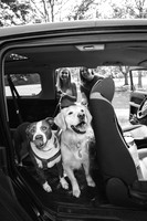 OffLeash2024-0406-2