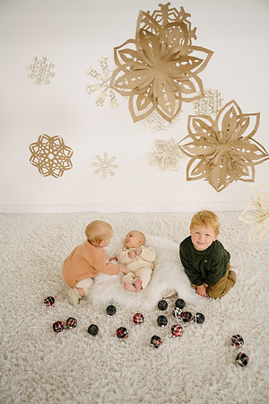Snowflake24-99