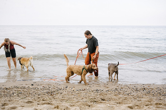 OffLeash2024-0936