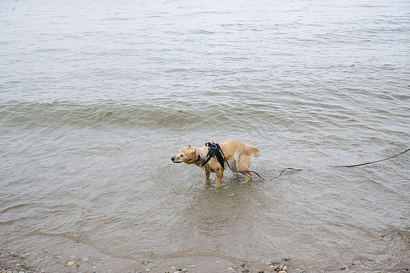 OffLeash2024-0876