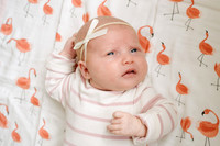 Amelia In Home Newborn Session September 2024