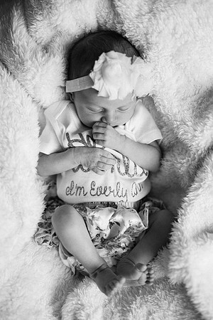 Everly-2261-2