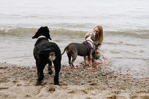 OffLeash2024-0901