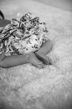 Everly-7441-2
