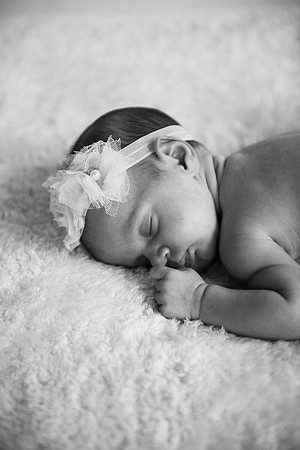 Everly-7440-2