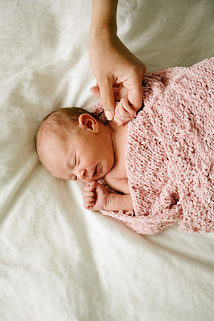 Willow-5347