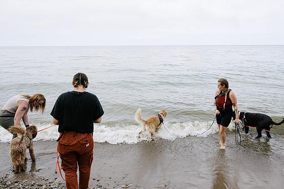 OffLeash2024-0879