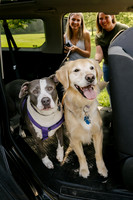 OffLeash2024-0407