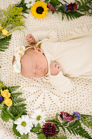 Willow-5405