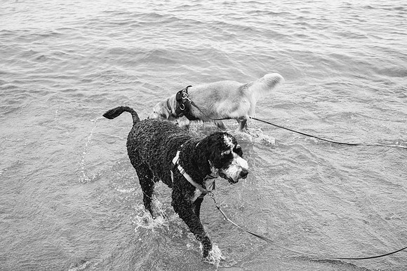 OffLeash2024-0873-2