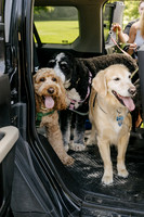 OffLeash2024-0412