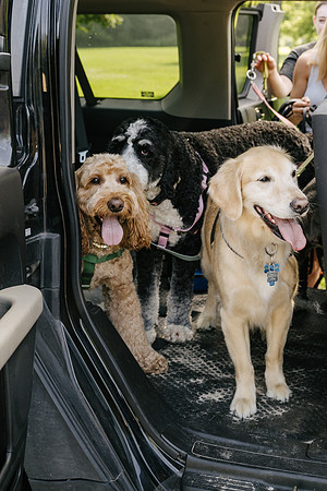 OffLeash2024-0412