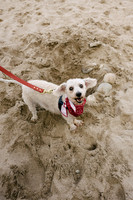Off Leash MKE July 2024