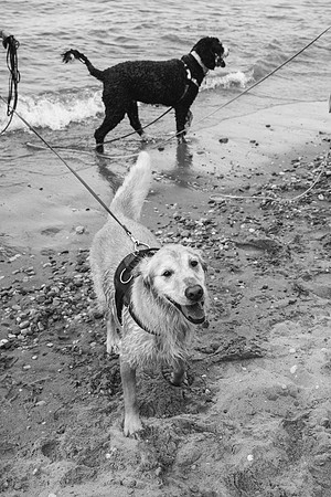 OffLeash2024-0883-2