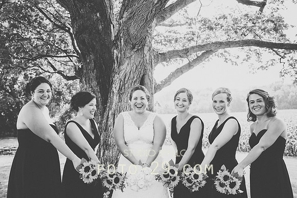 KM-Wedd-263bw