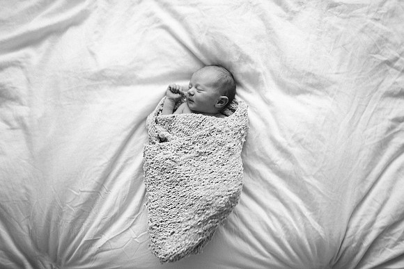 Willow-5344-2