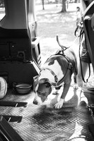 OffLeash2024-0392-2