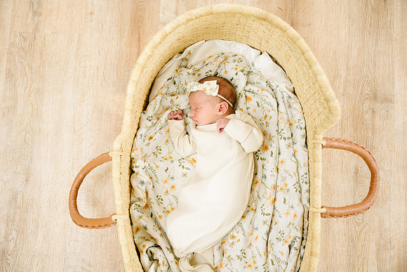 Willow-5433