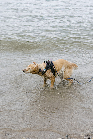 OffLeash2024-0876-2