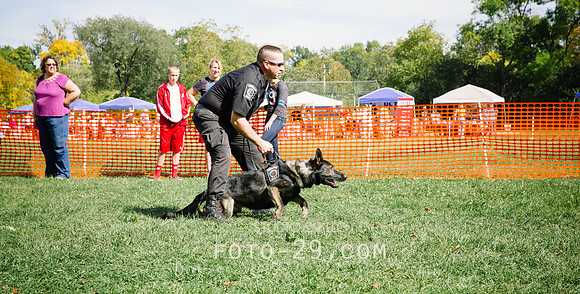 barktoberfest-9478