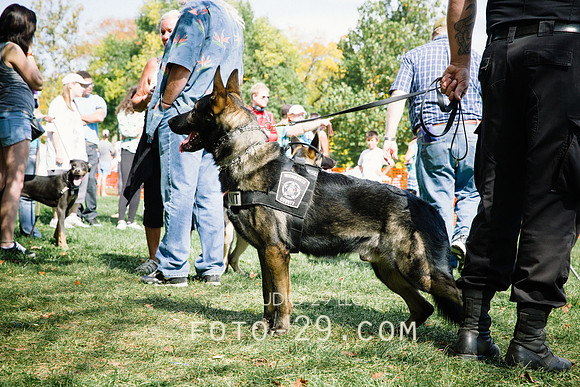 barktoberfest-9472