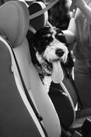 OffLeash2024-0420-2