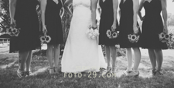 KM-Wedd-261bw