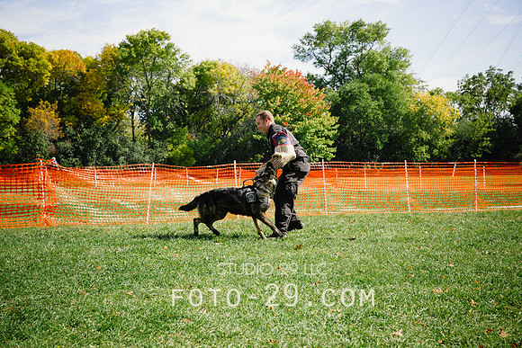 barktoberfest-9485