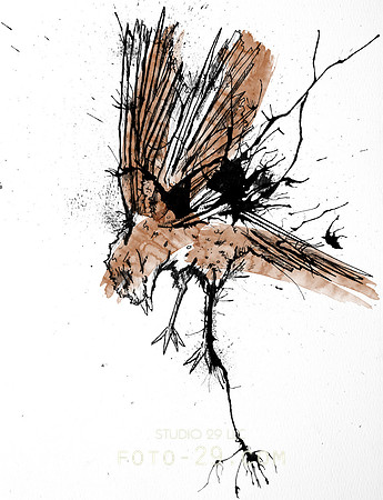 Red Bird