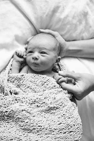 Willow-5355-2