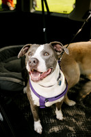 OffLeash2024-0397