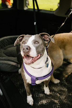 OffLeash2024-0397