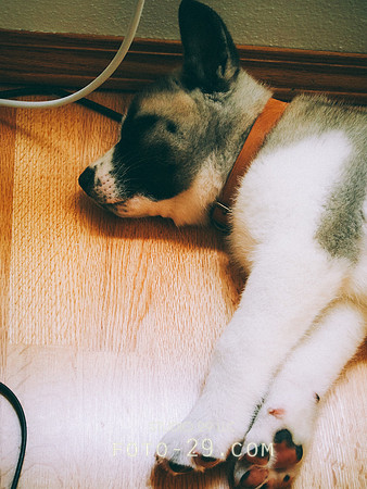20140701-Kenzo-3
