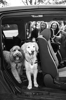 OffLeash2024-0418-2