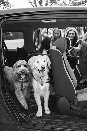 OffLeash2024-0418-2