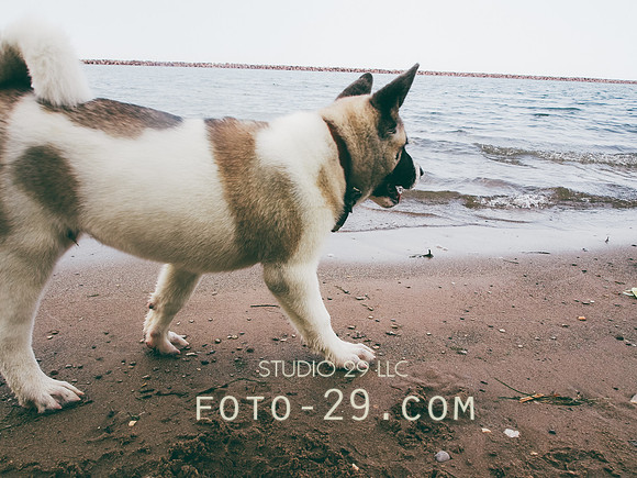 LakeKenzo140801-22