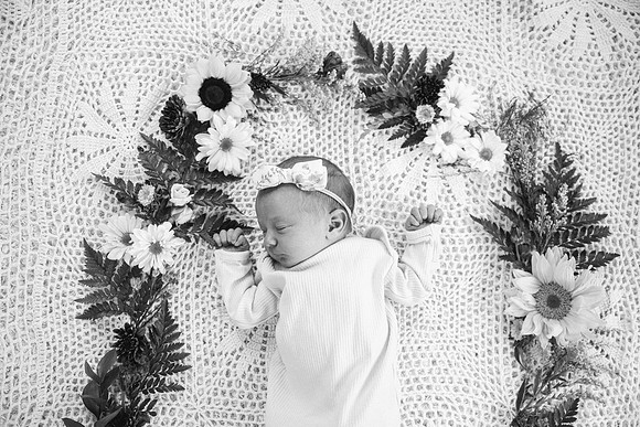 Willow-5413-2