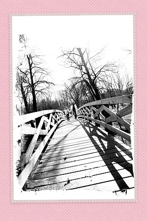 bridge_border
