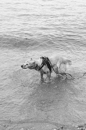 OffLeash2024-0876-4